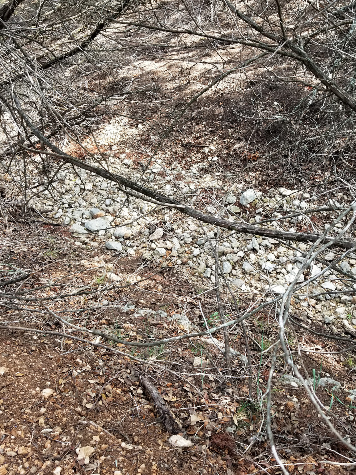 At the lower end of the Creek Trail, the creek bed is all stone. These are the rocks the fast flowing water brought down from above that dropped to the bottom when the water slowed down. Note the bed is wider and shallower here.