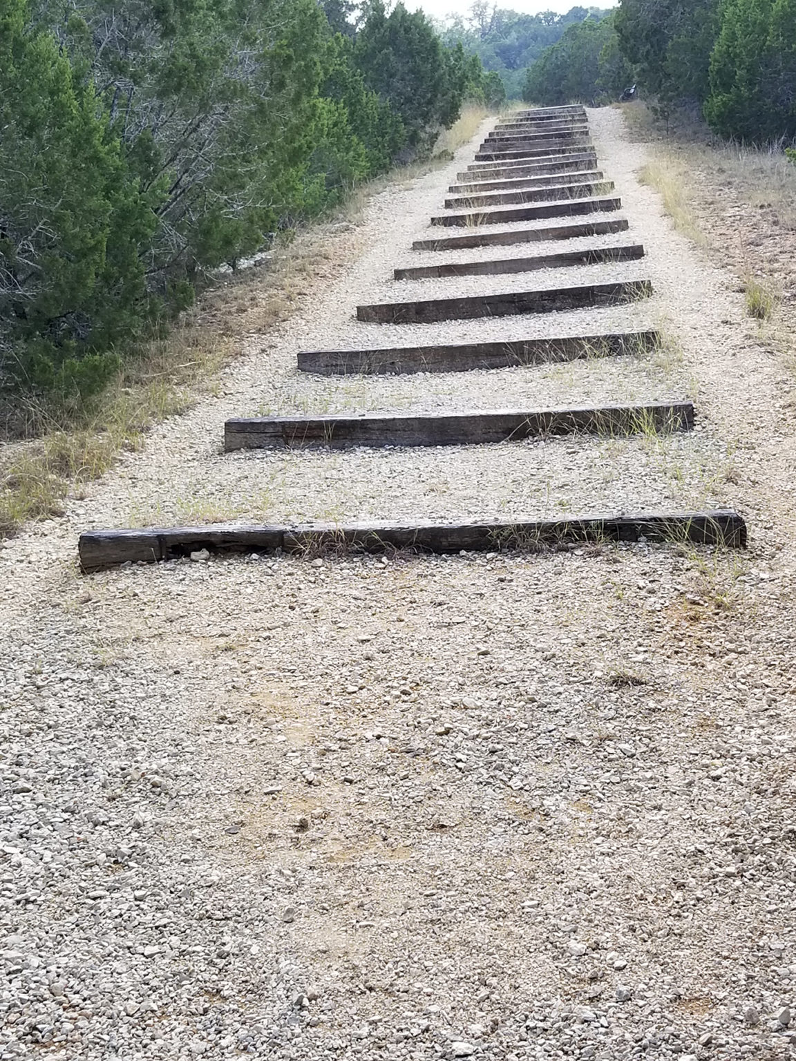 These steps on the main trail look daunting but they offer hikers a good workout!